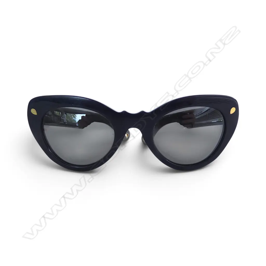 WINGSPAN LADIES DESIGNER SUNGLASSES by LUCY FOLK  Image 1++