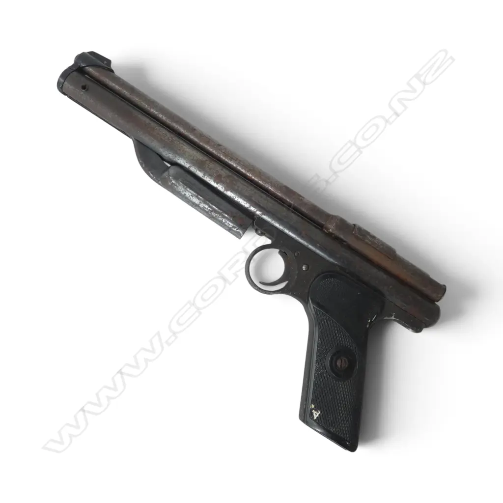 CROSSMAN 137 PISTOL  AF L.295mm Image 1++
