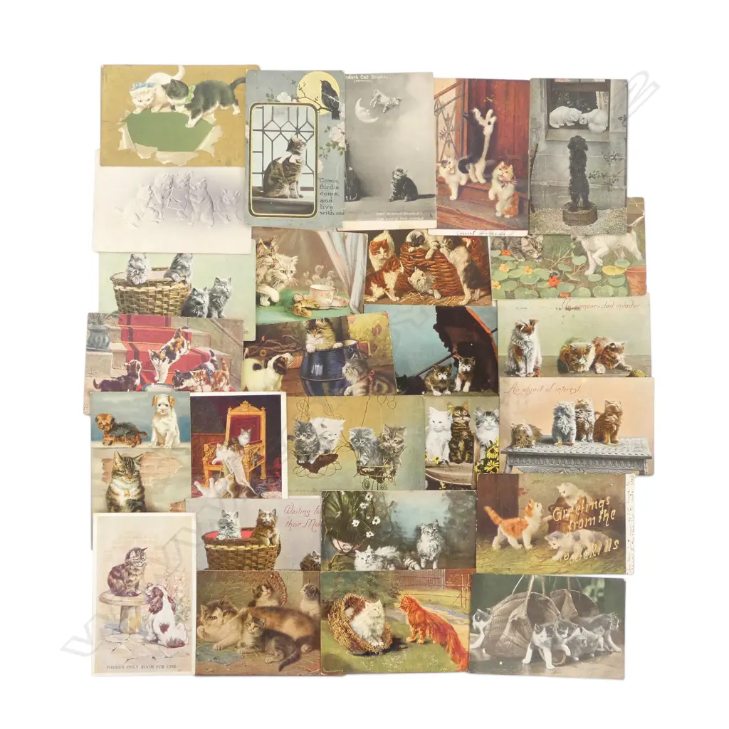 26 ANTIQUE POSTCARDS OF CATS  Image 1++