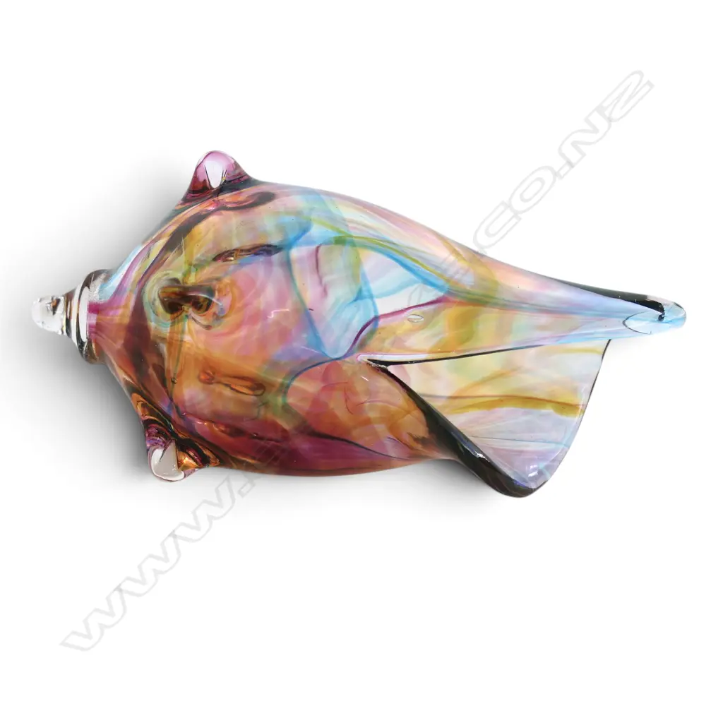 VANCOUVER STUDIO GLASS CONCH SHELL L150MM Image 1++