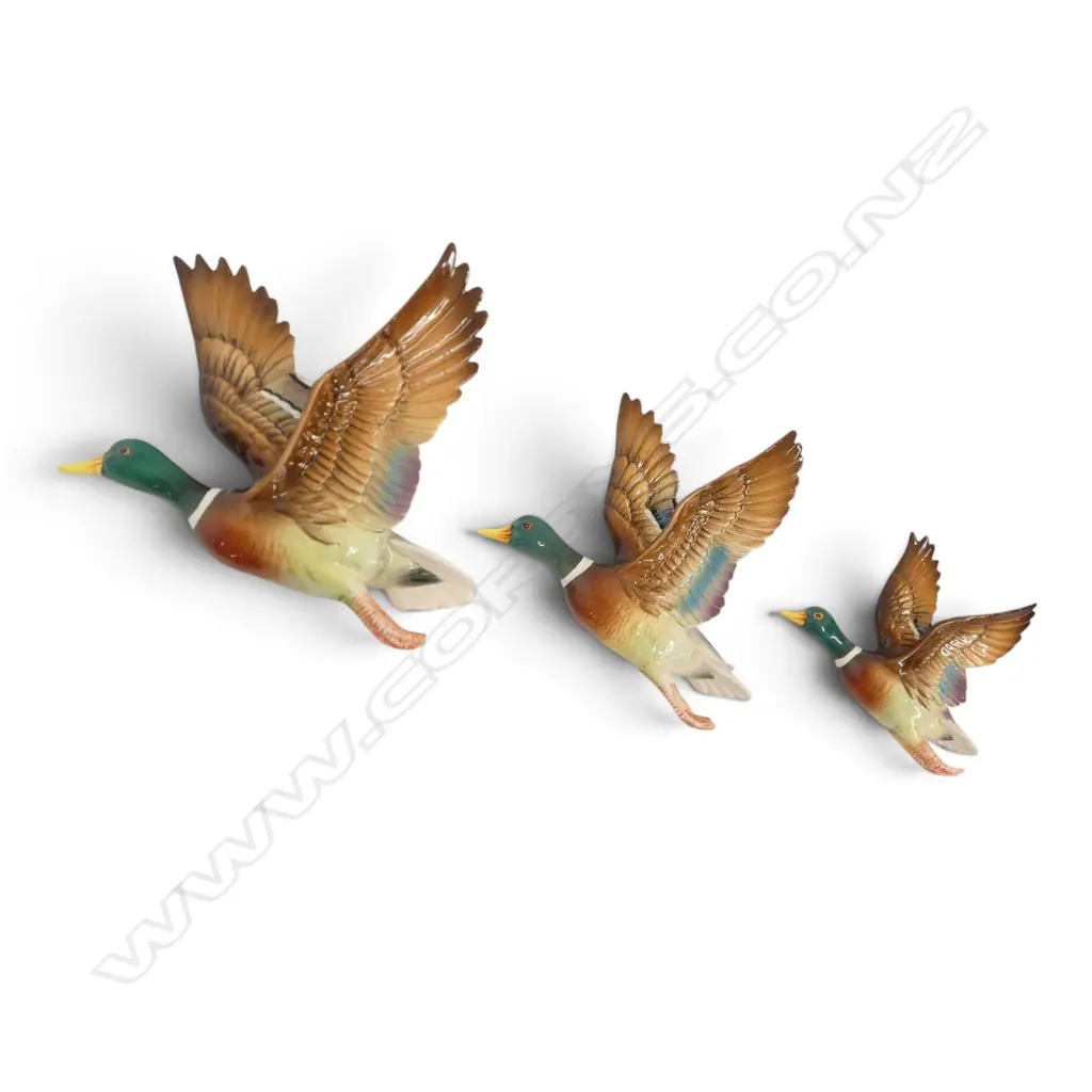 SET OF 3 CHINA WALL DUCKS  L200MM LARGEST Image 1++