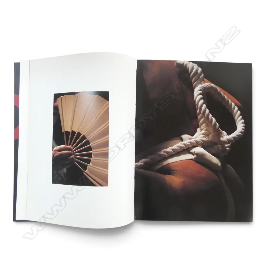 2 REFERENCE BOOKS; JAPANESE SWORDS & SUMO Image 1++