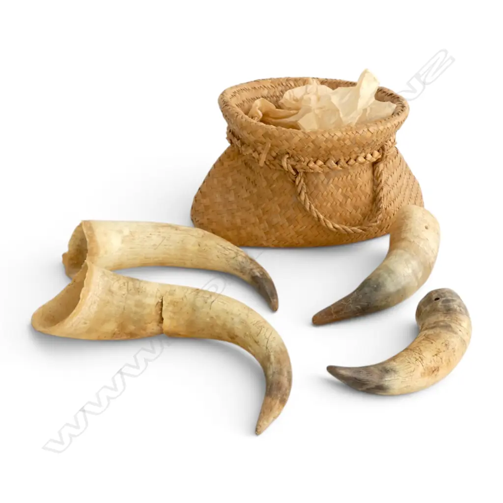 5 ANIMAL HORNS IN A WOVEN BAG Image 1++