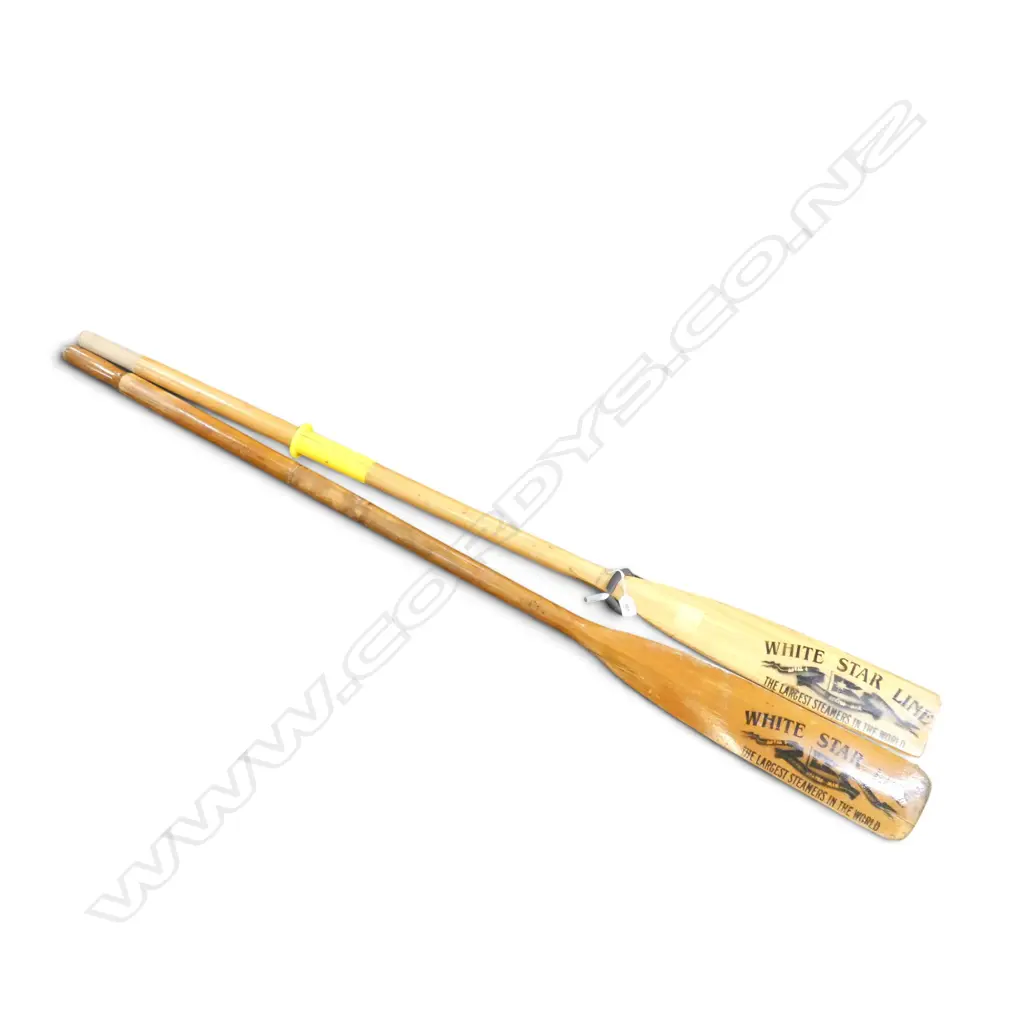 PAIR OF OARS L.1640mm Image 1++