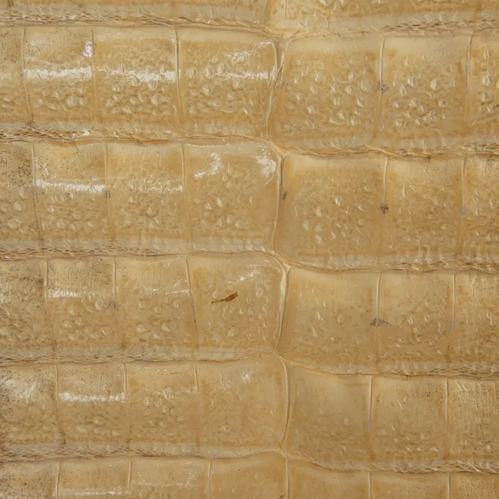 2 CROC LEATHER BAGS  Image 1++