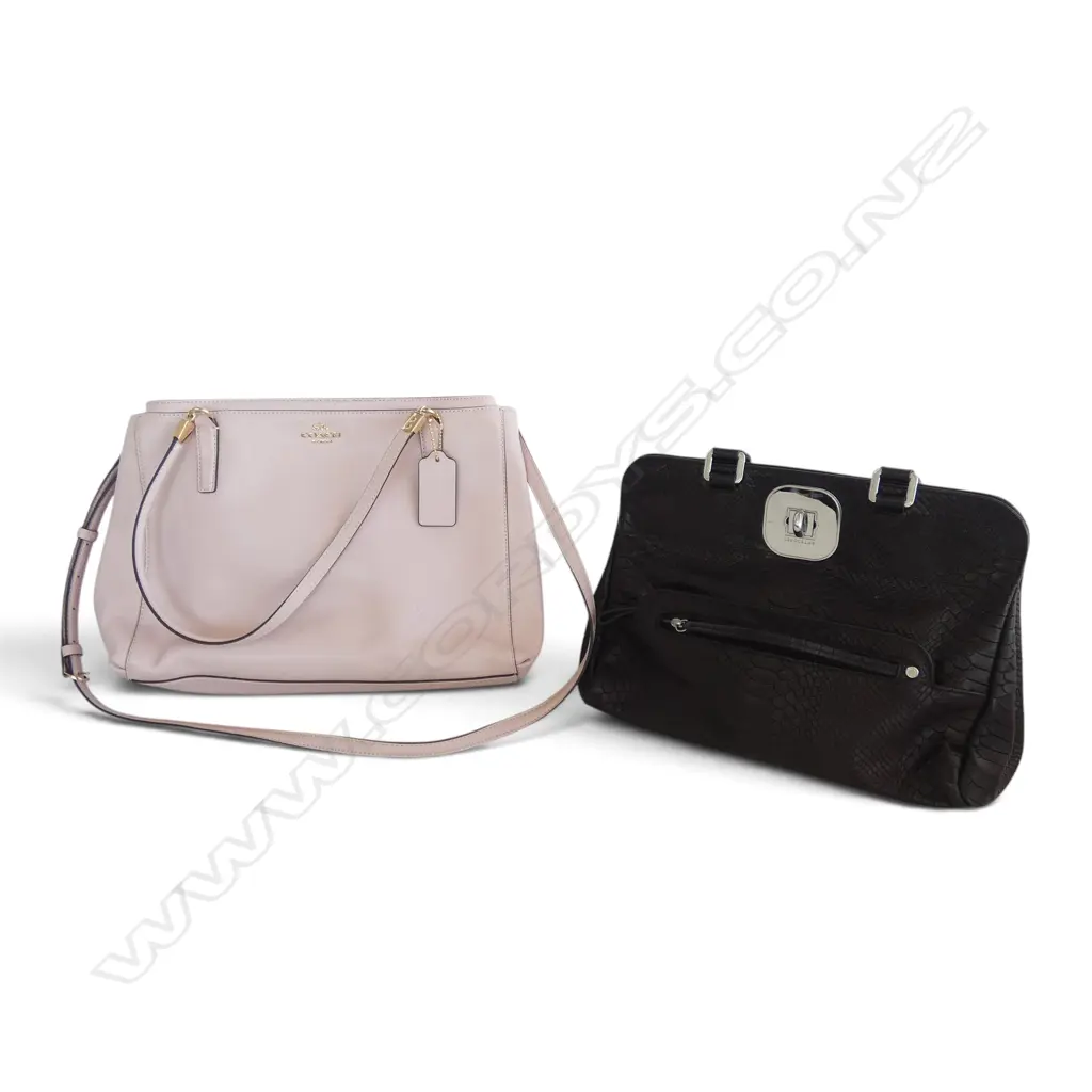 COACH + LONGCHAMP HANDBAG Image 1++
