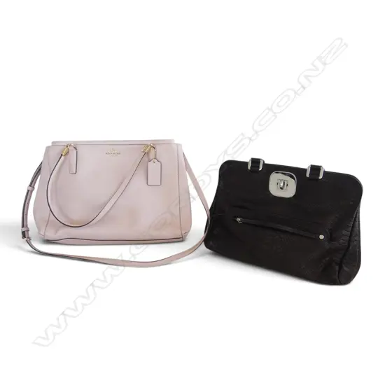 COACH + LONGCHAMP HANDBAG