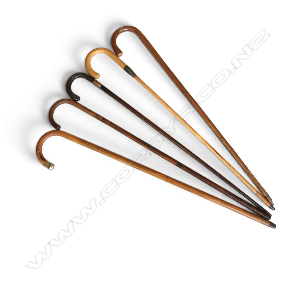 5 WALKING STICKS L.915mm Image 1++