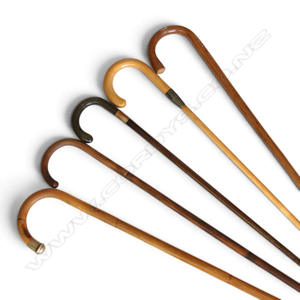 5 WALKING STICKS L.915mm Image 1++