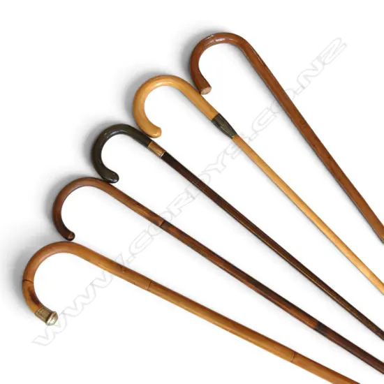 5 WALKING STICKS L.915mm