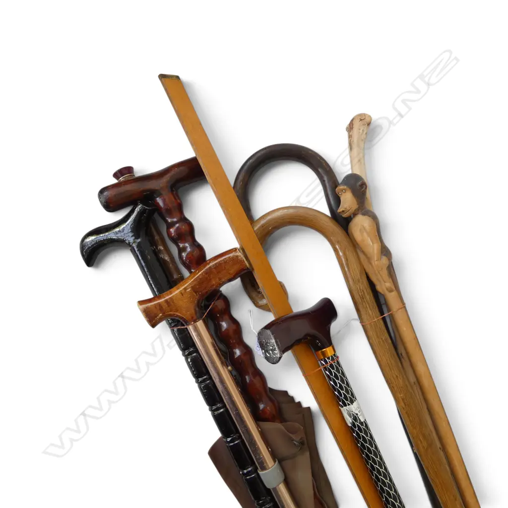8 WALKING STICKS, UMBRELLA & 1M WOODEN RULER Image 1++