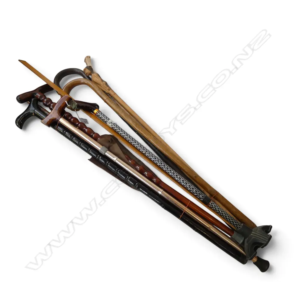 8 WALKING STICKS, UMBRELLA & 1M WOODEN RULER Image 1++