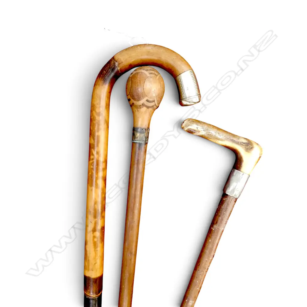 3 WALKING STICKS L.915mm Image 1++