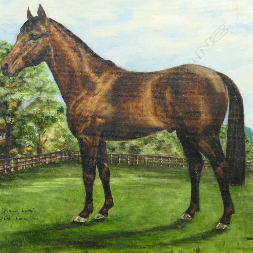 SHERRY SMITH  HORSE IN PADDOCK HONEY LORD  OIL ON CANVAS H320 L510MM Image 1++