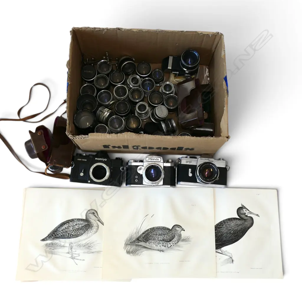 ASST. CAMERA LENSES, CANON FP / MIRANDA A CAMERA + 6 BIRD PRINTS Image 1++