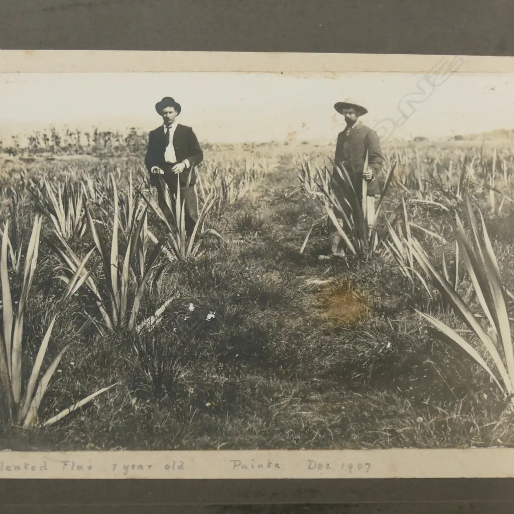 COLLECTION OF EARLY NZ FOXTON FLAX INDUSTRY PHOTOS MAGAZINE ETC Image 1++