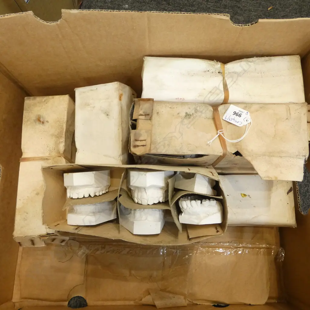 8 BOXES OF TEETH MOULDS Image 1++