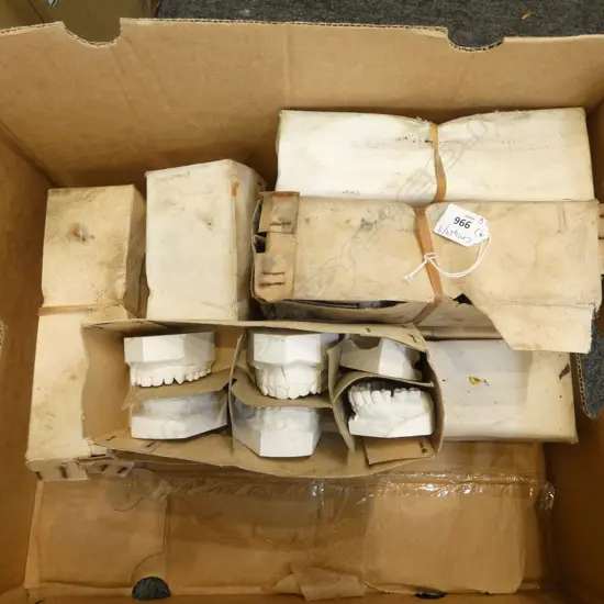 8 BOXES OF TEETH MOULDS