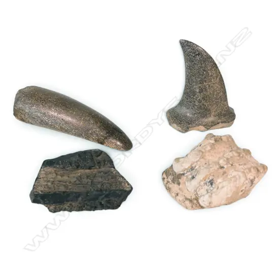 2 FOSSILES  AND 2 STONE ART WORKS, LGEST 180MM