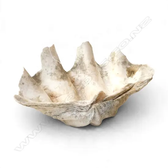 SHELL W.365mm