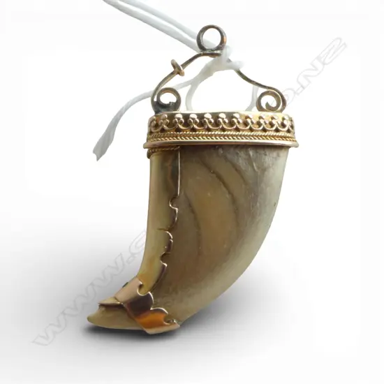 10ct GOLD MOUNTED TIGERS CLAW PENDANT