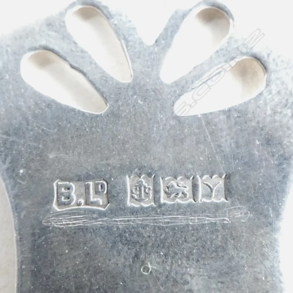 AN ENGLISH STG TEA CADDY SPOON BY BISHTONS BIRMINGHAM 1973 19gms Image 1++