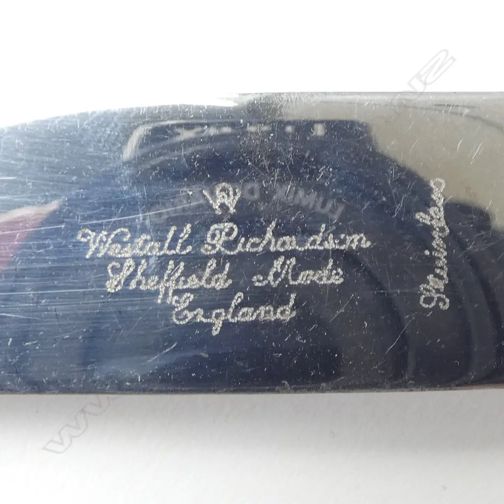 6 CASEIN 'BONE HANDLED' KNIVES, L.235mm BOXED Image 1++