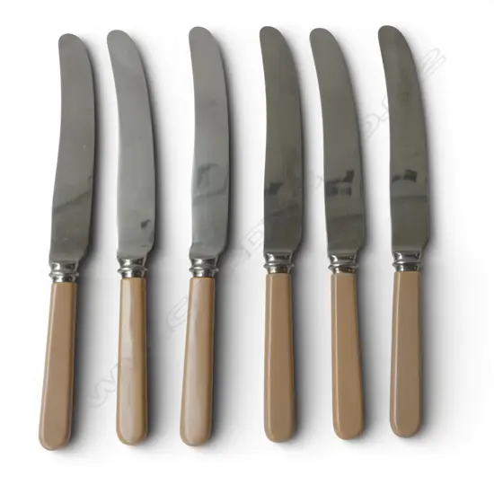 6 CASEIN 'BONE HANDLED' KNIVES, L.235mm BOXED