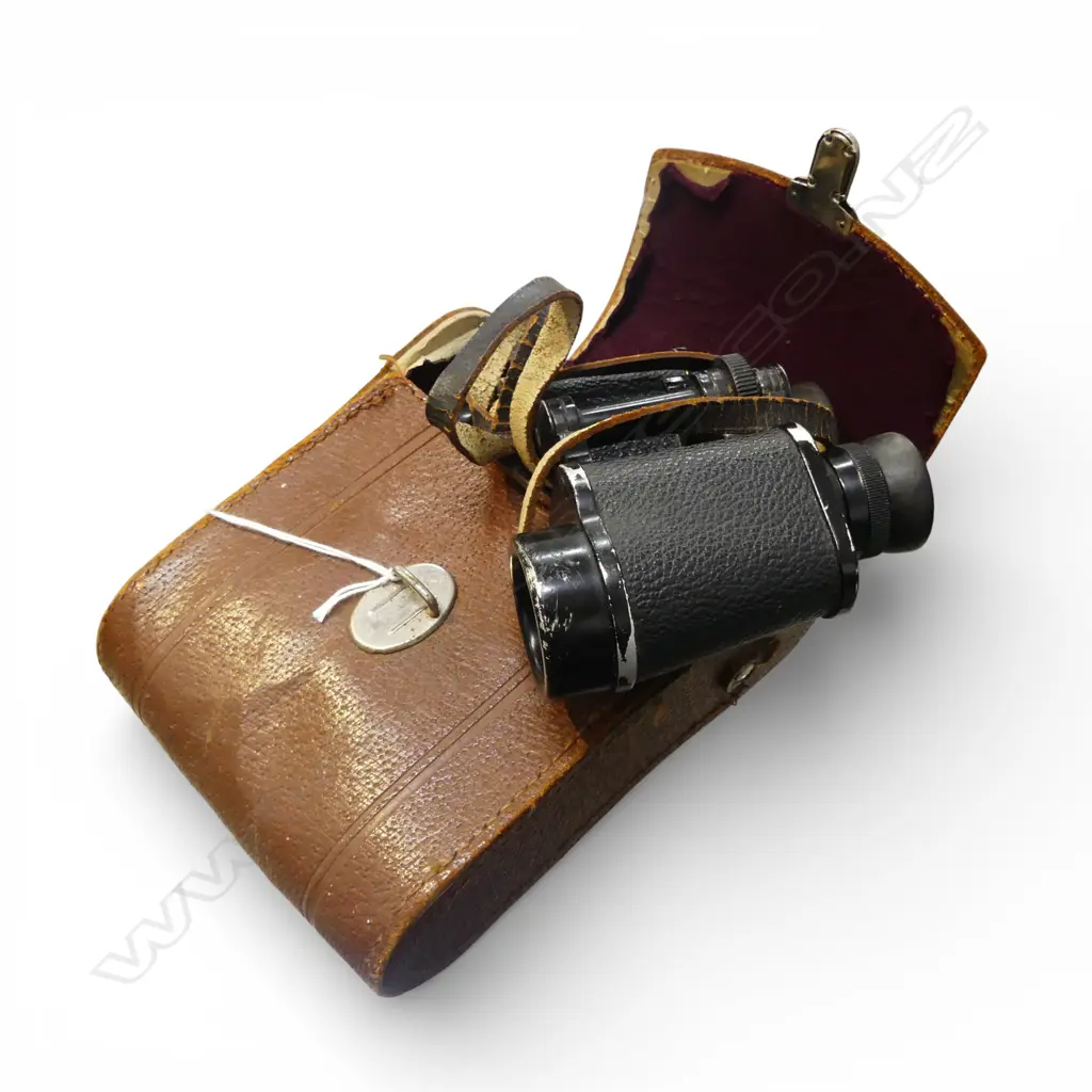 BINOCULARS, CASED Image 1++