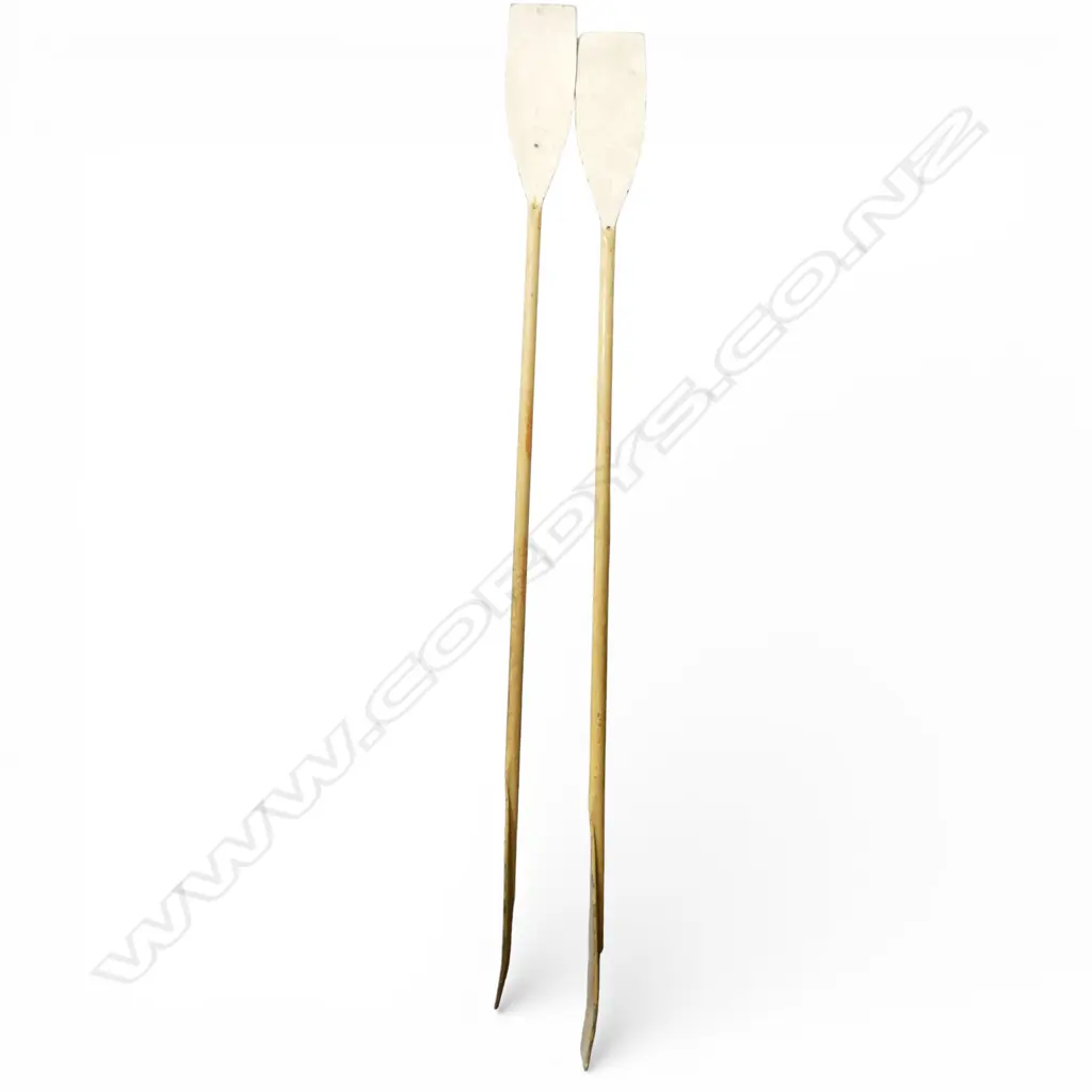 PR PAINTED WOODEN OARS L.2320mm Image 1++