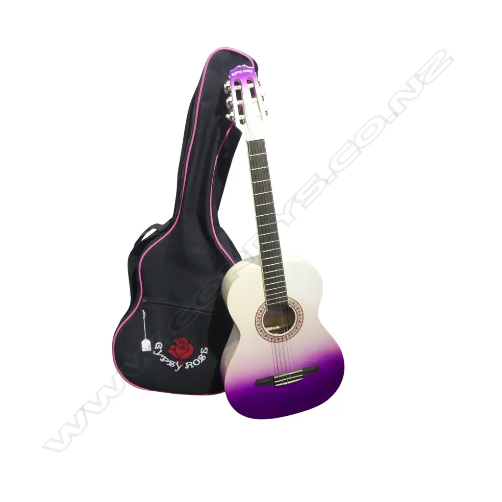 'GYPSY ROSE' ACOUSTIC GUITAR L.960mm + CASE Image 1++