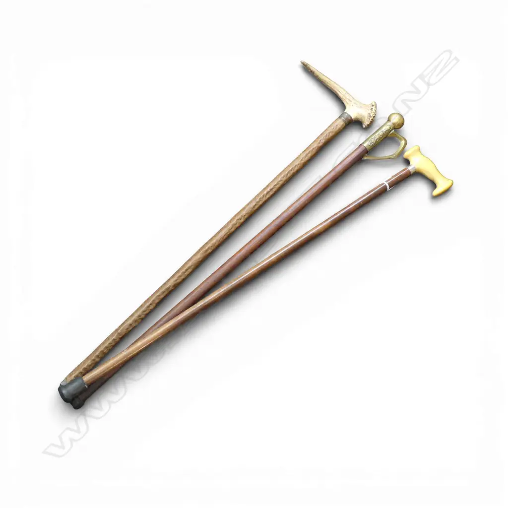 3 WALKING STICKS  Image 1++