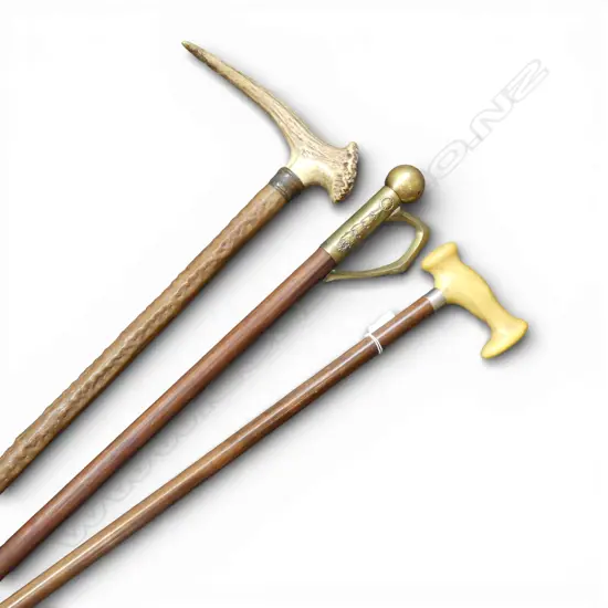 3 WALKING STICKS 