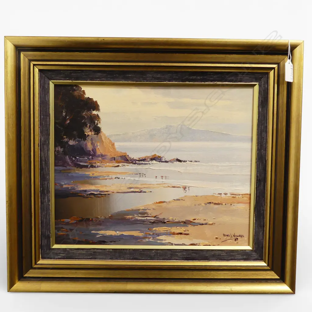 PETER J. WALLERS 'RANGITOTO FROM CASTOR BAY' OIL ON BOARD 1987 285x350mm Image 1++