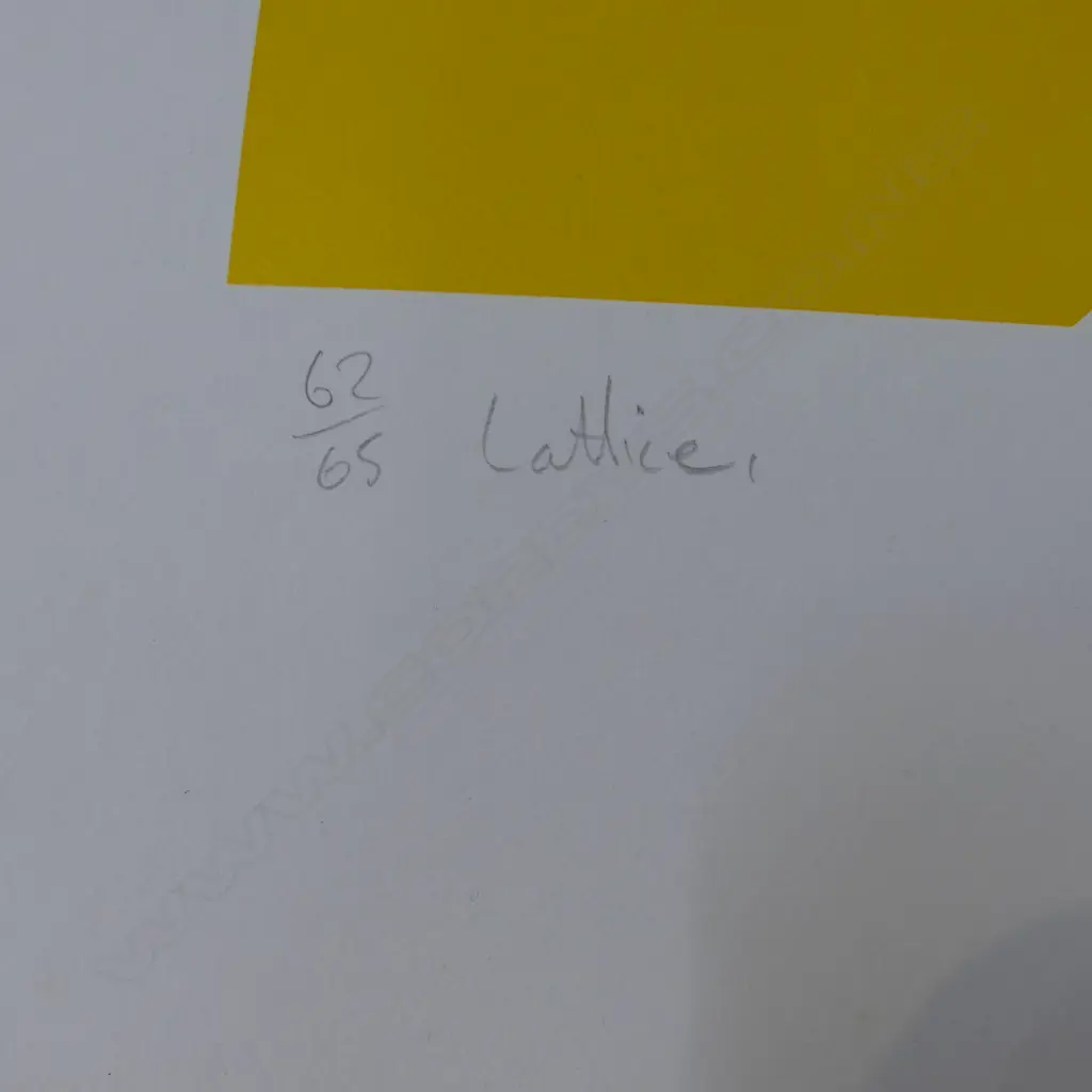 IAN SCOTT 'LATTICE' SCREENPRINT, 62/65 FEBUARY 1979, 740 x 980mm TEAR RIGHT SIGHT OF PAPER Image 1++