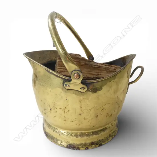 BRASS COAL BUCKET + PINECONES