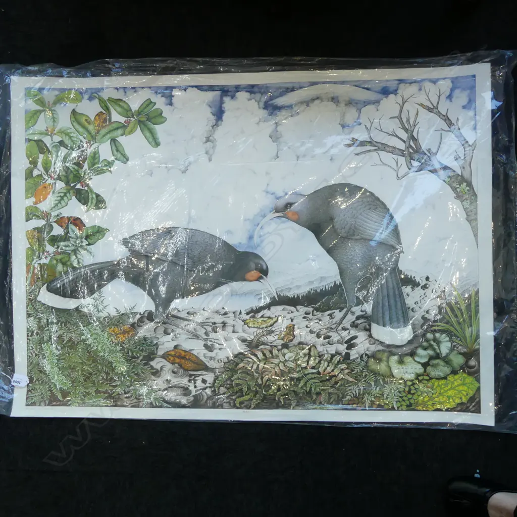 REI HAMON, HUIA 1980, COLOURED LITHOGRAPH ED. 630/2000, 745 X 1025MM (UNFRAMED) Image 1++