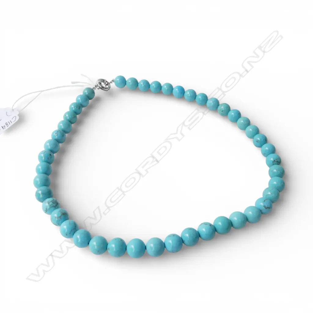 DYED TURQUOISE NECKLACE Image 1++