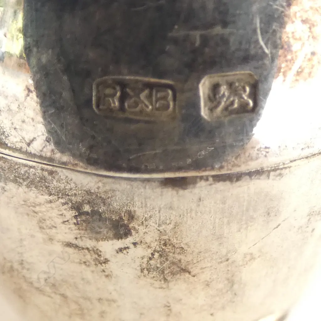 SILVER CRUET egg form 70gms silver weight + glass liner. Sheffield 1900 Image 1++