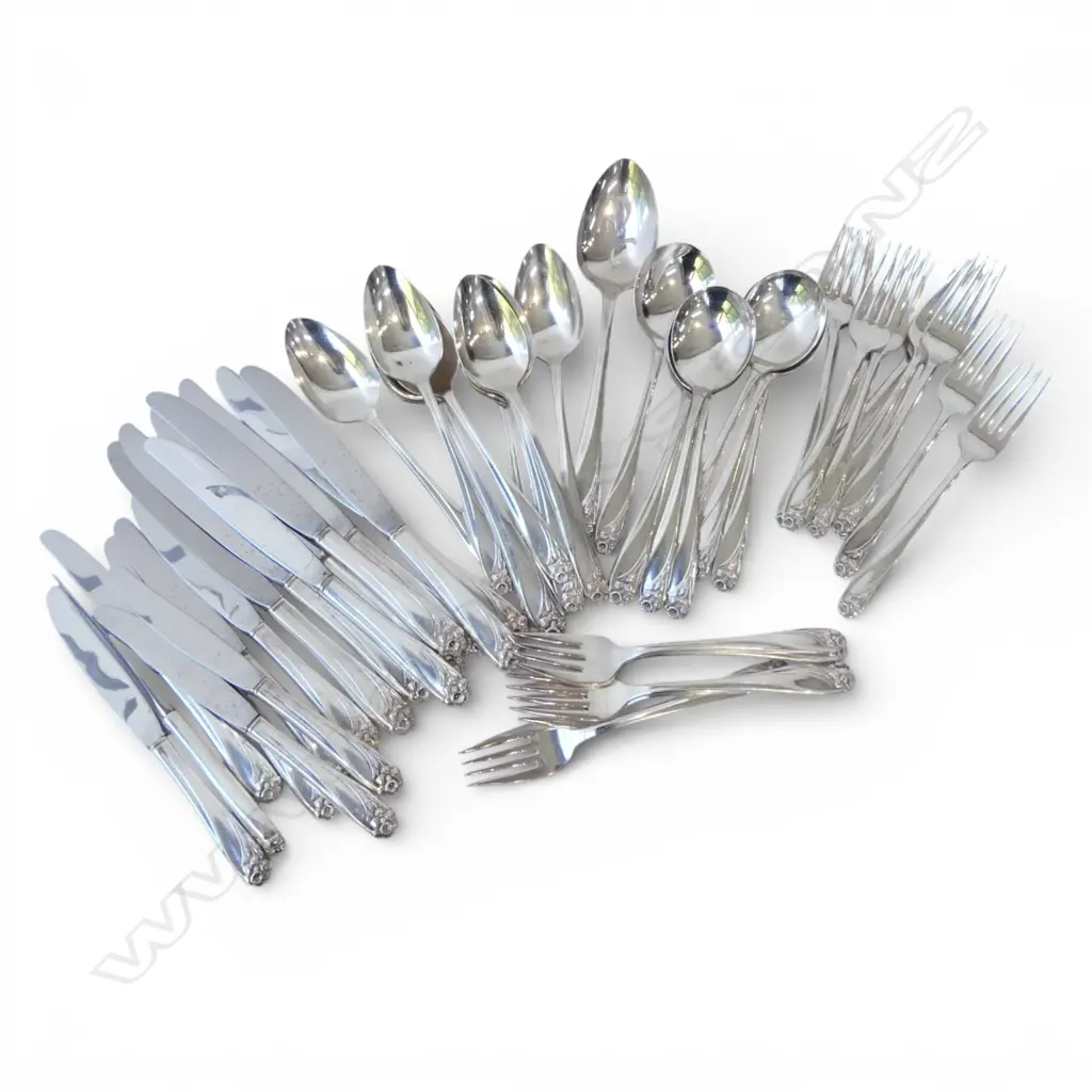 ROGERS BROS. DAFFODIL SILVER PLATE CUTLERY Image 1++