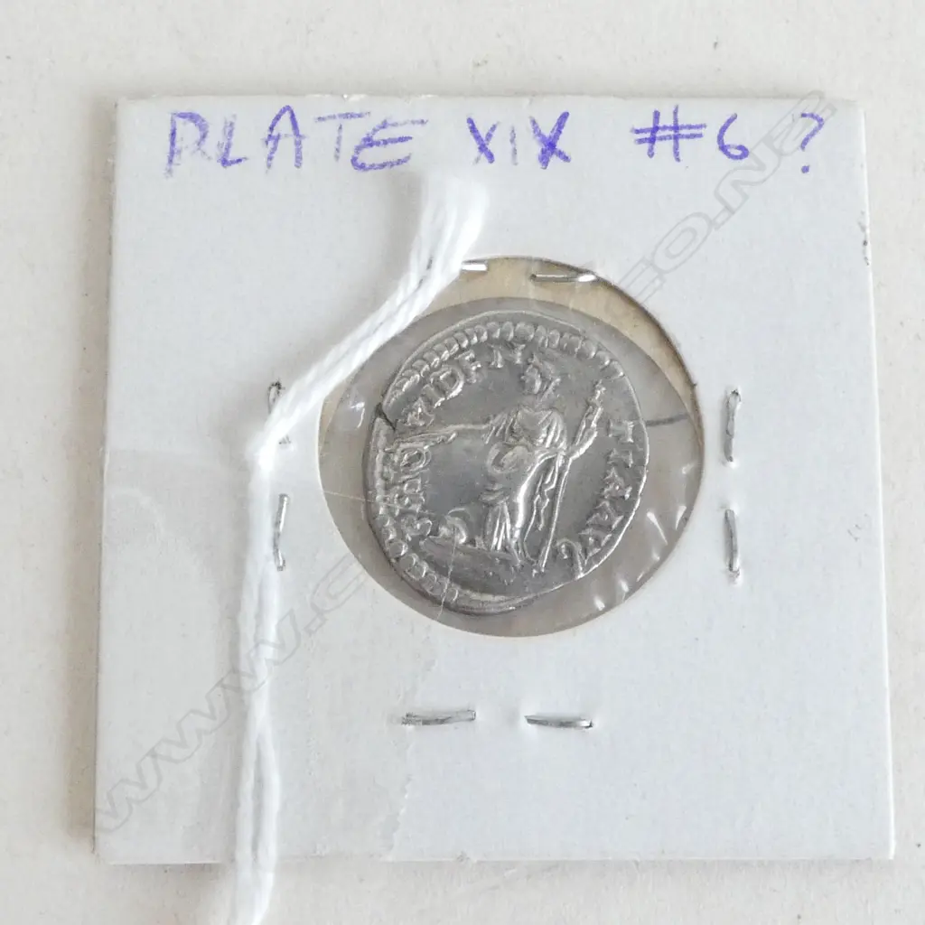 ROMAN COIN. SEPTIMIUS SEVERUS DENARIUS AD 196 Image 1++