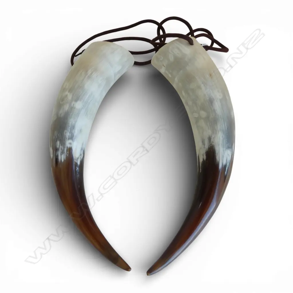 PR HORNS L.250mm Image 1++