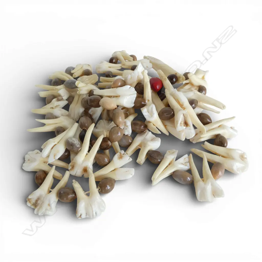 ETHNIC TRIBAL NECKLACE w TEETH & SHELL Image 1++