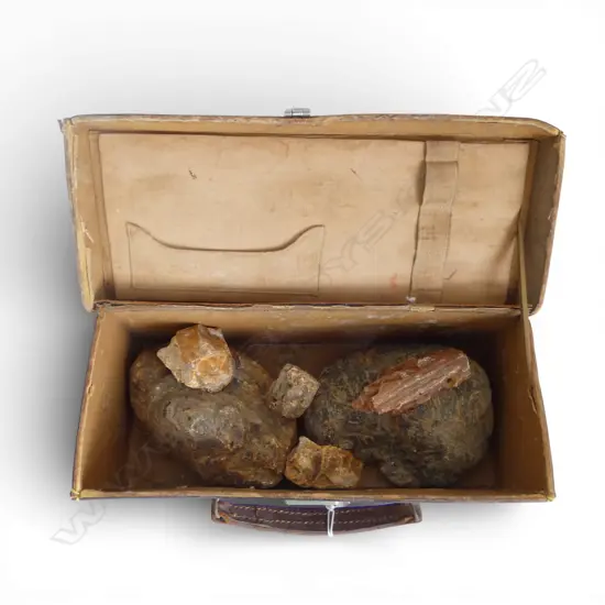 LEATHER SMALL CASE (lid broken) W KAURI GUM BOULDERS