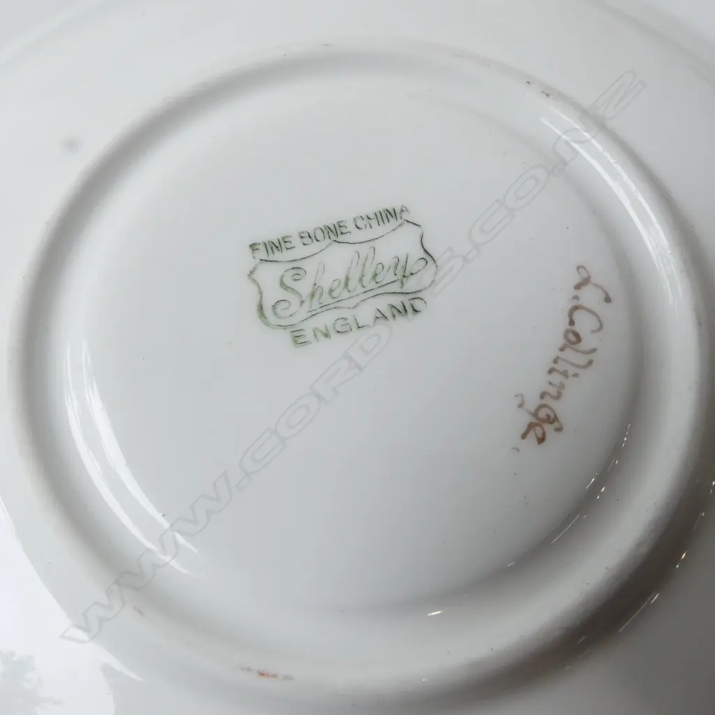 8 SELLEY CHINA CSPS MIXED PATS Image 1++