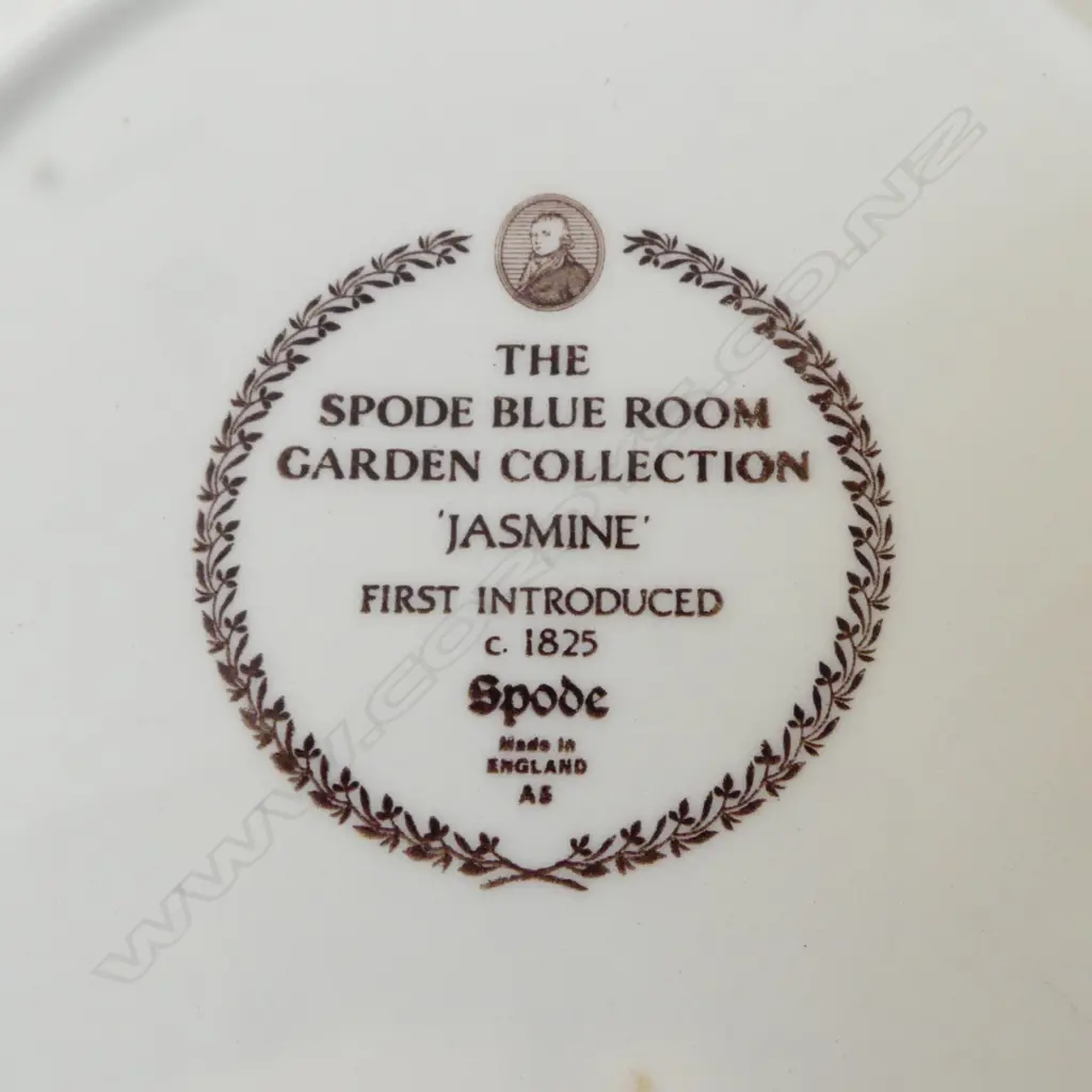 8 SPODE 'JASMINE' CEREAL BOWLS 205mm dia Image 1++