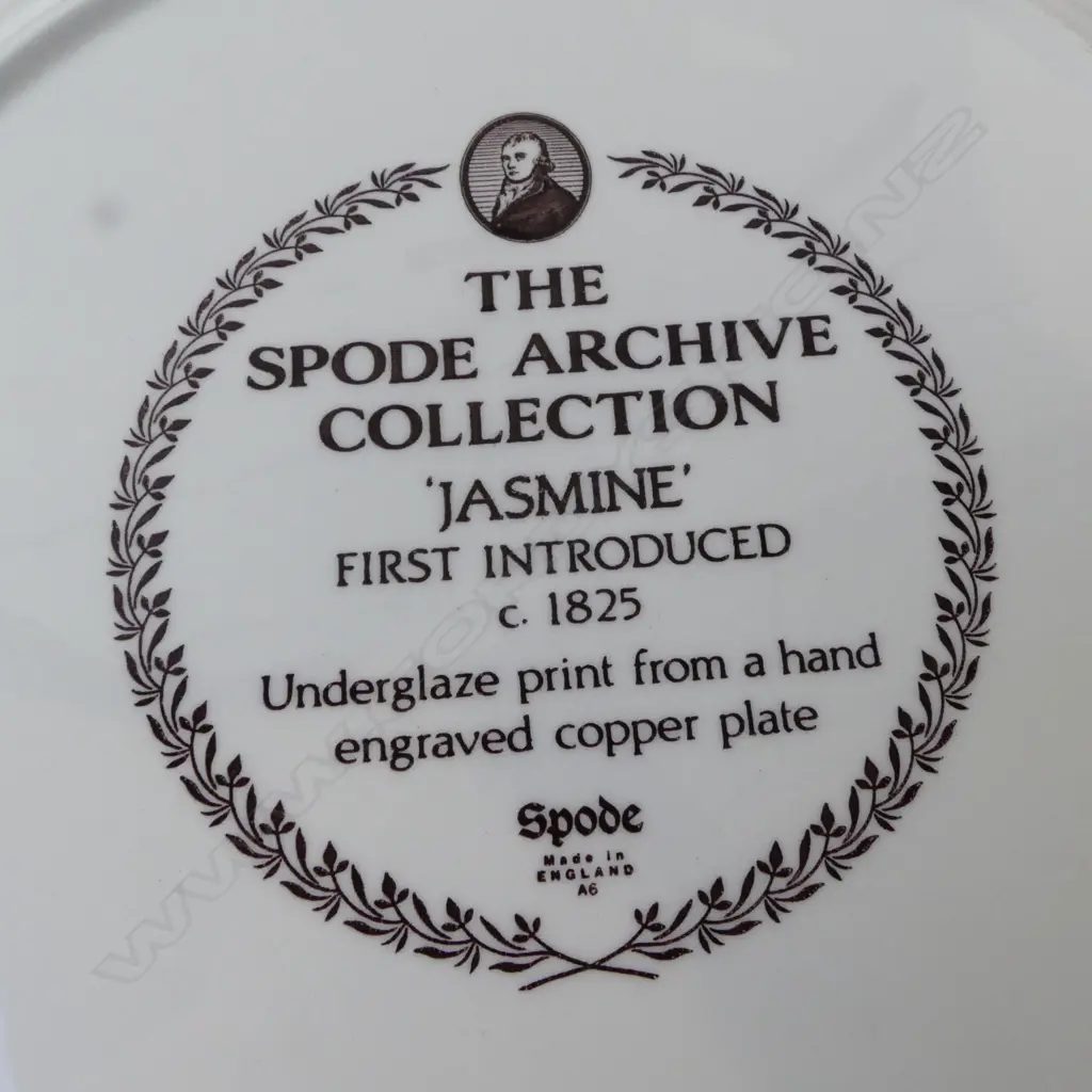 2 SPODE 'JASMINE' LG PLATES 305mm dia Image 1++