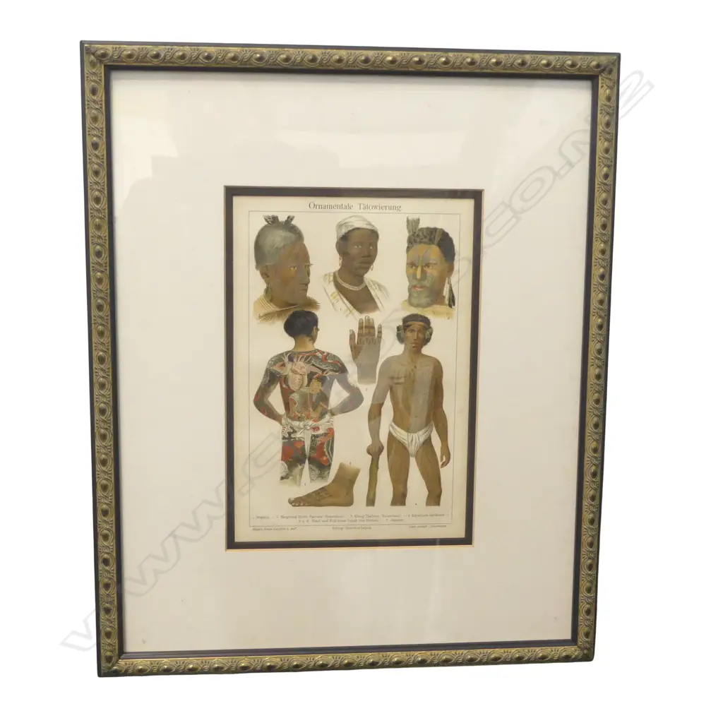 FRAMED CHROMOLITHOGRAPH 'Ornamentale Taowierung' of various tattoos 220 x 150mm Maori + Japanese etc. Framed  Image 1++