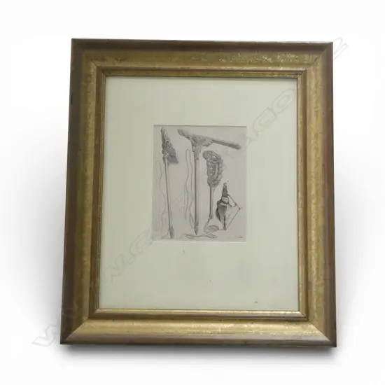 SPECIMENS OF NEW ZEALAND FROM COOKS VOYAGE, WILLIAM STRAHAN LONDON 1777 No. XIX, 225x180mm