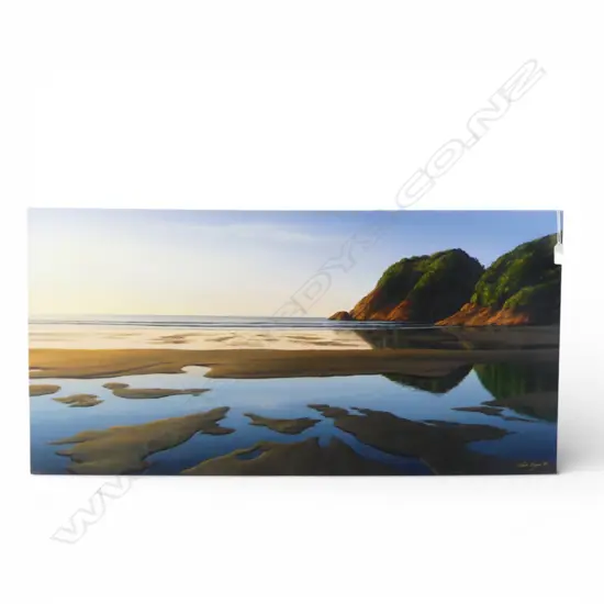 EBAN BRYAN, BEACH LANDSCAPE, ACYRLIC ON CANVAS 460x910mm SIGNED & DATED '09